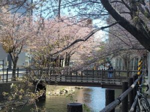 ゴールデンウィークも体験受付中